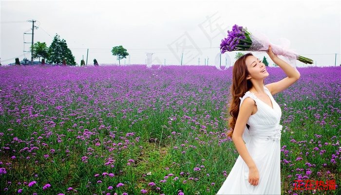 金瓶海之婬亂天在線觀看