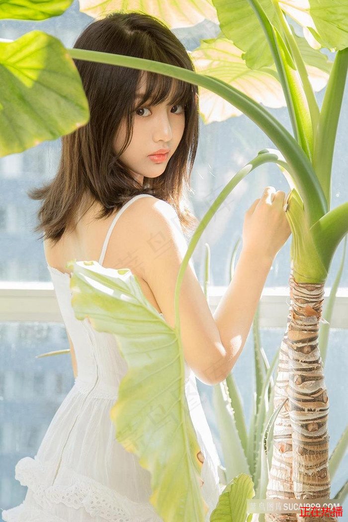 超過10季的美劇都有哪些