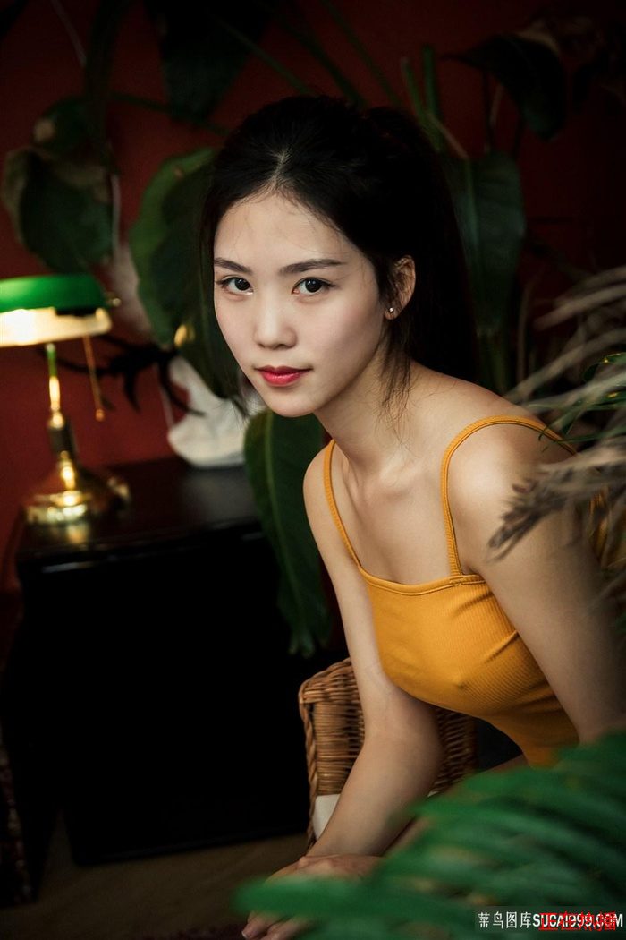 少女嗶哩嗶哩高清在線觀看 · 年輕的領居3在線觀看 · 超過10季的美劇都有哪些 熱門視頻